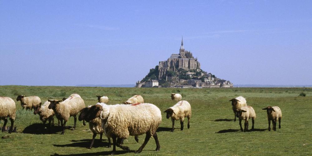 Chambres D'Hotes Avec Piscine Aux Agapanthes De Cromel - Mont Saint Michel Exteriér fotografie